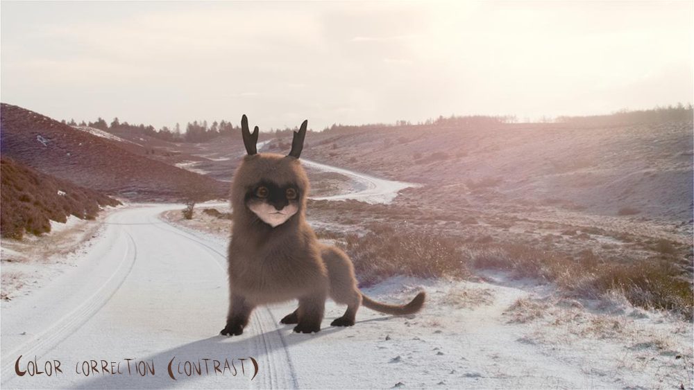10_Fluffakka_contrast_1088