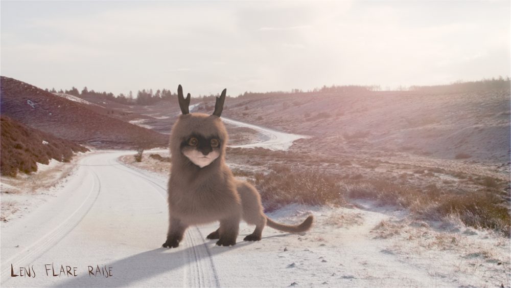 9_Fluffakka_LensFlare raise_1088