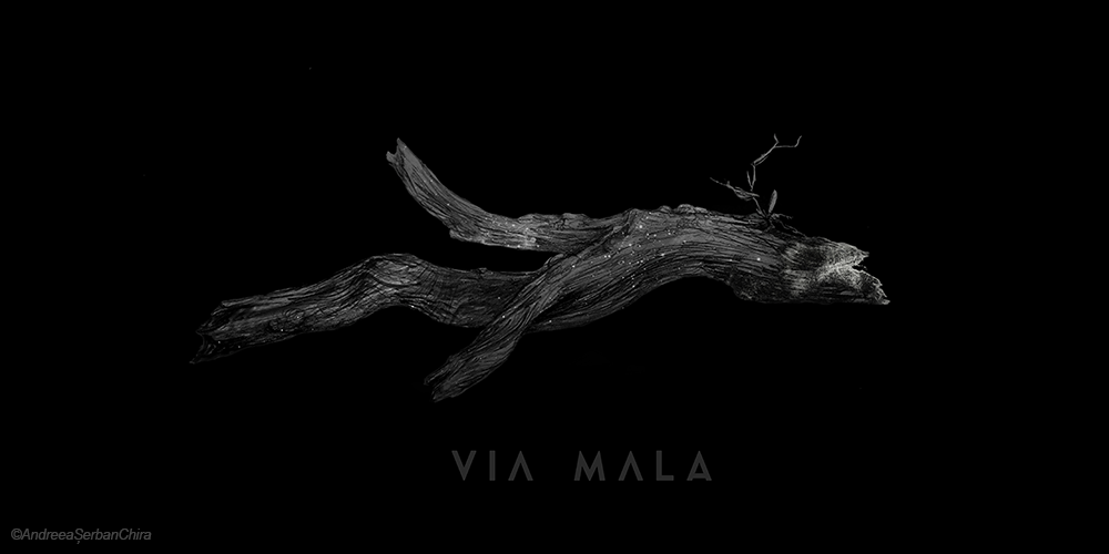 Merch_03