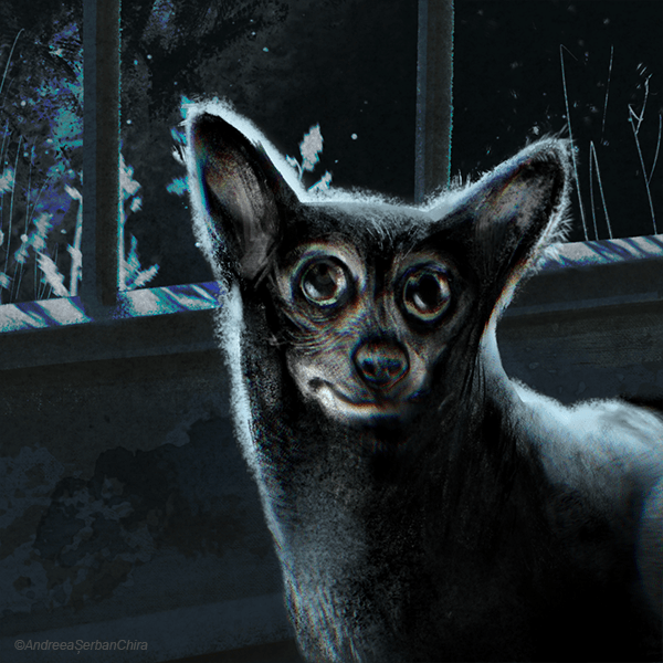 Moondog_crop_site_compressed