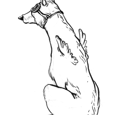 Sketch 11b_compressed