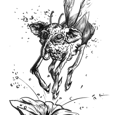 Sketch 13_compressed