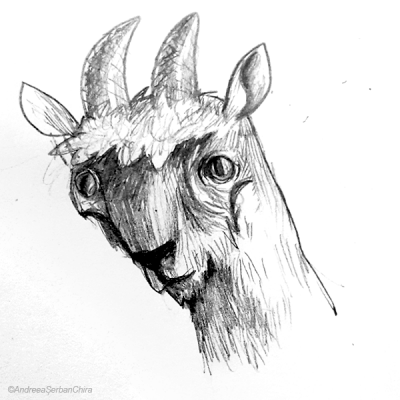 Sketch 27_compressed