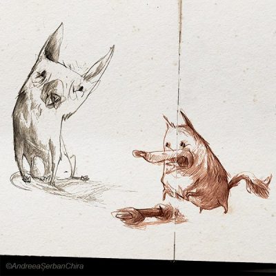 OtherDogs_Resized_Compressed