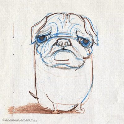 PillPug_Resized_Compressed