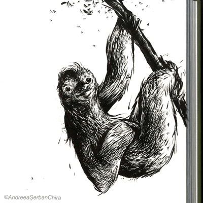 Slothy_Resized2